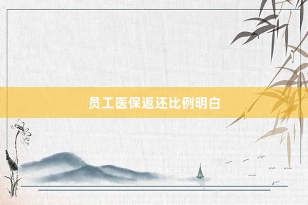 员工医保返还比例明白